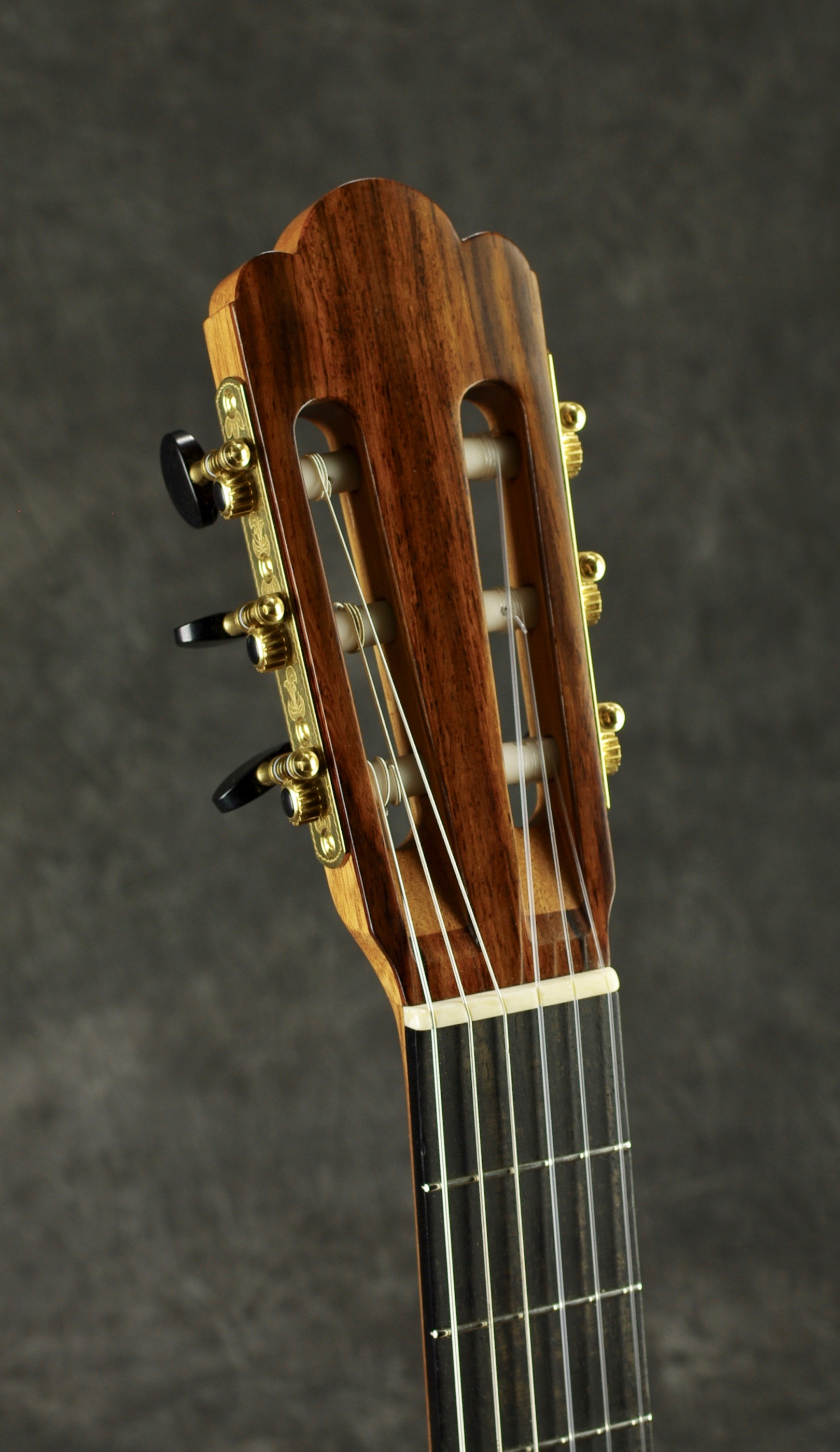 Pat Foster Guitars Photo Gallery